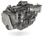 p) Yanmar  315 h.p.